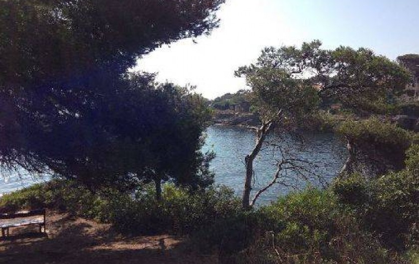 Location de vacances - Appartement à Saint-Aygulf