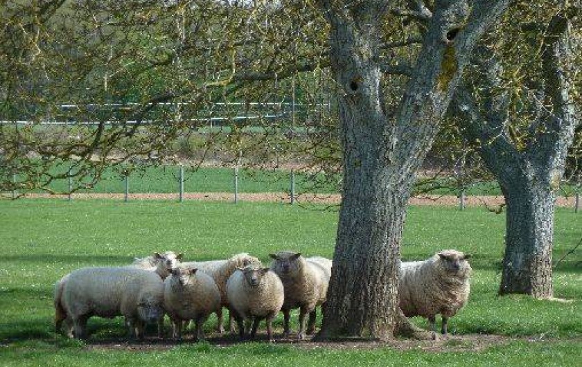 Location de vacances - Gîte à Nargis