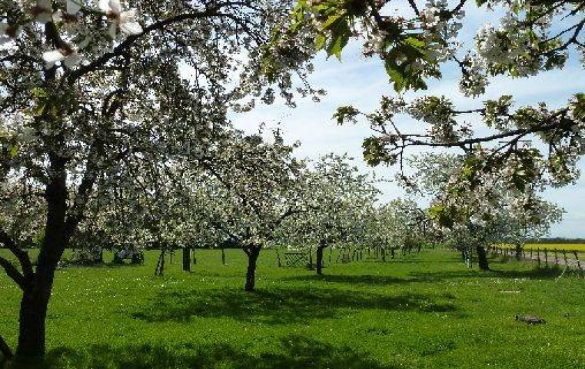 Location de vacances - Gîte à Nargis