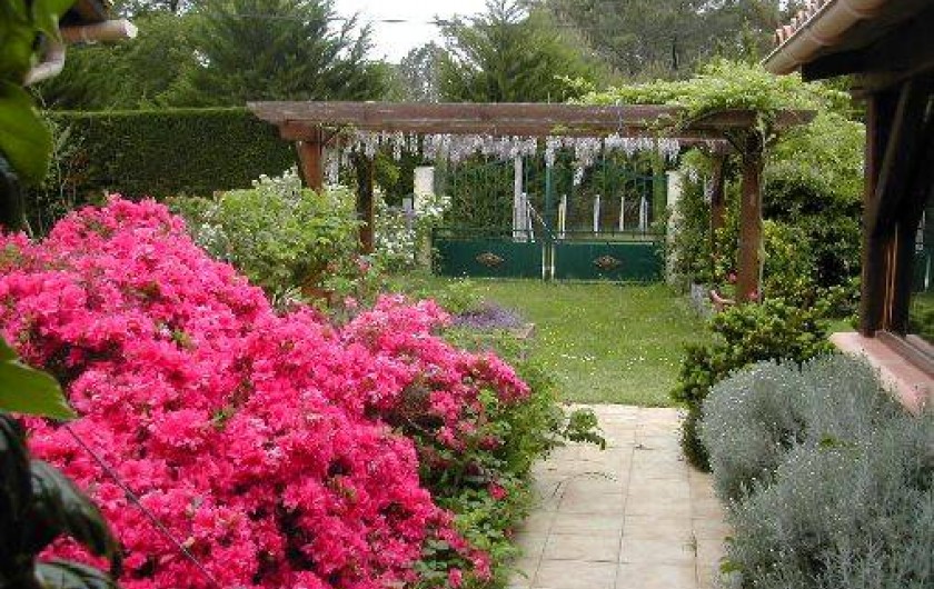 Location de vacances - Villa à Mimizan