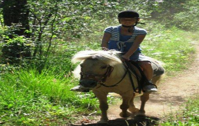 Location de vacances - Villa à Mimizan