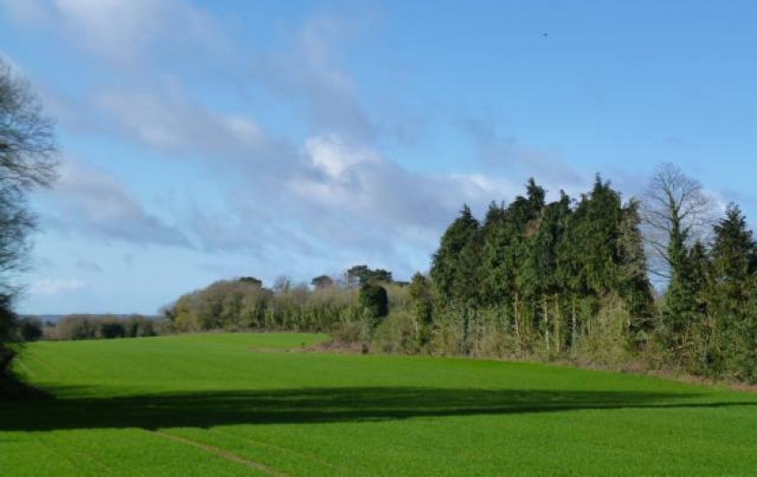 Location de vacances - Gîte à Bieuzy - vue vers le sud