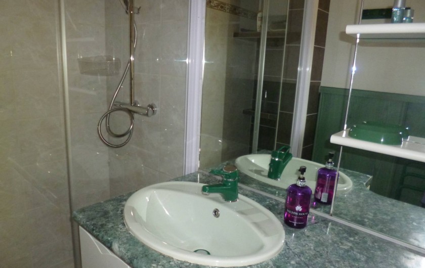 Location de vacances - Gîte à Bieuzy - lavabo et  grande douche italienne au fond