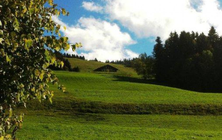 Location de vacances - Chalet à Crest-Voland - Vue depuis la route du chef-lieu été