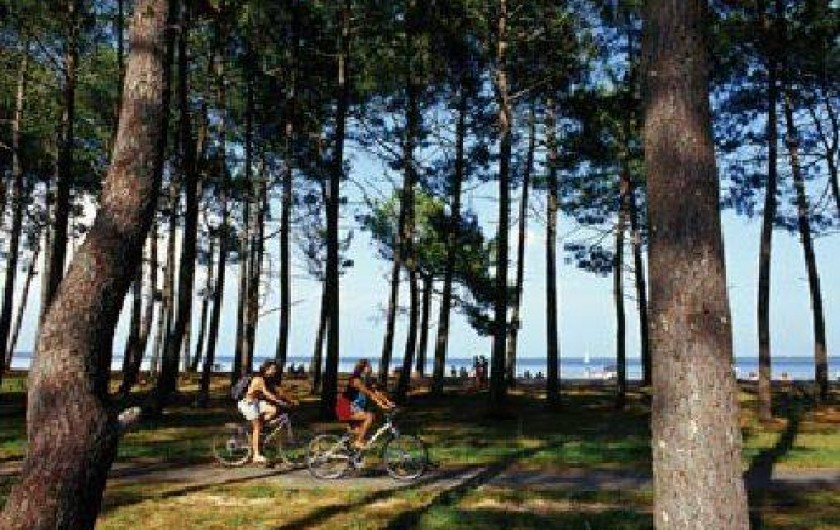 Location de vacances - Villa à Biscarrosse