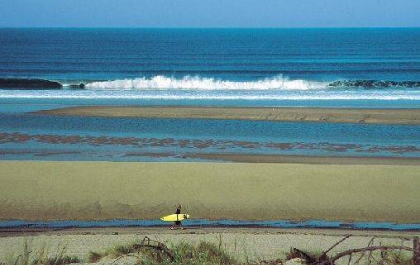 Location de vacances - Villa à Biscarrosse