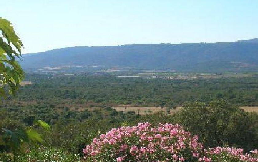 Location de vacances - Maison - Villa à Figari
