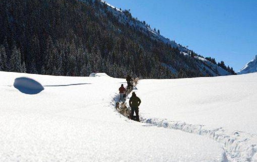 Location de vacances - Chalet à Les Carroz d'Arâches