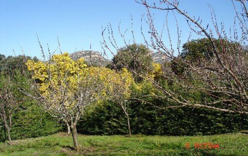 Location de vacances - Gîte à Saint-Florent