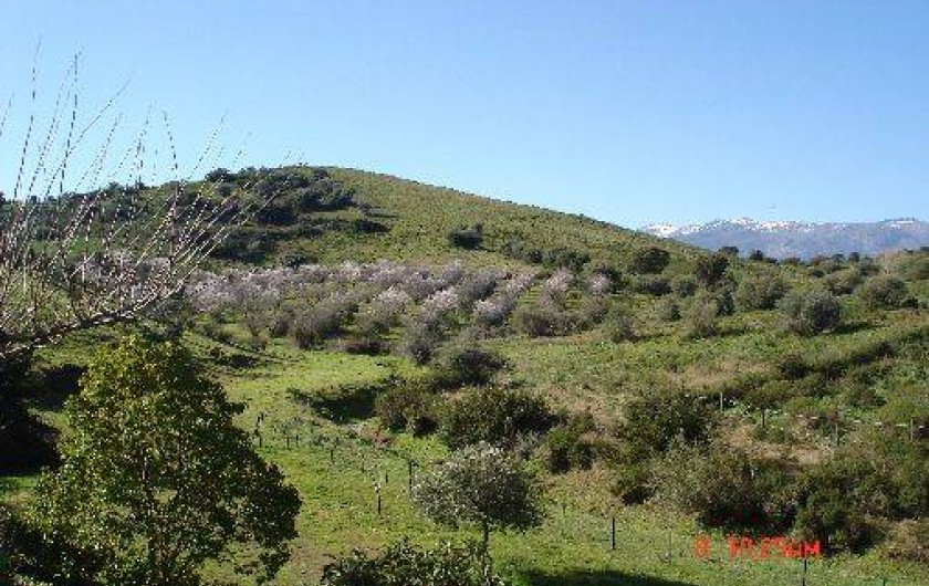 Location de vacances - Gîte à Saint-Florent
