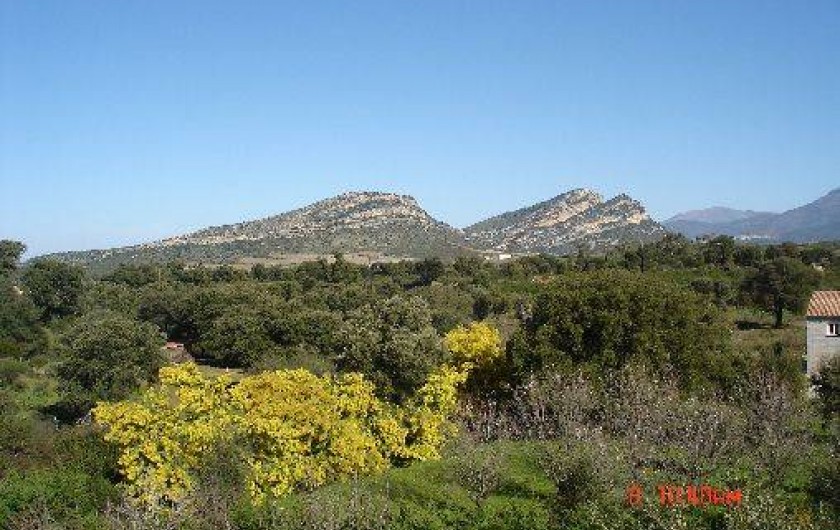 Location de vacances - Gîte à Saint-Florent