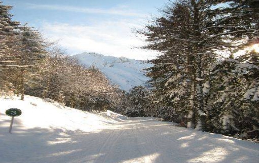 Location de vacances - Appartement à Le Mont-Dore