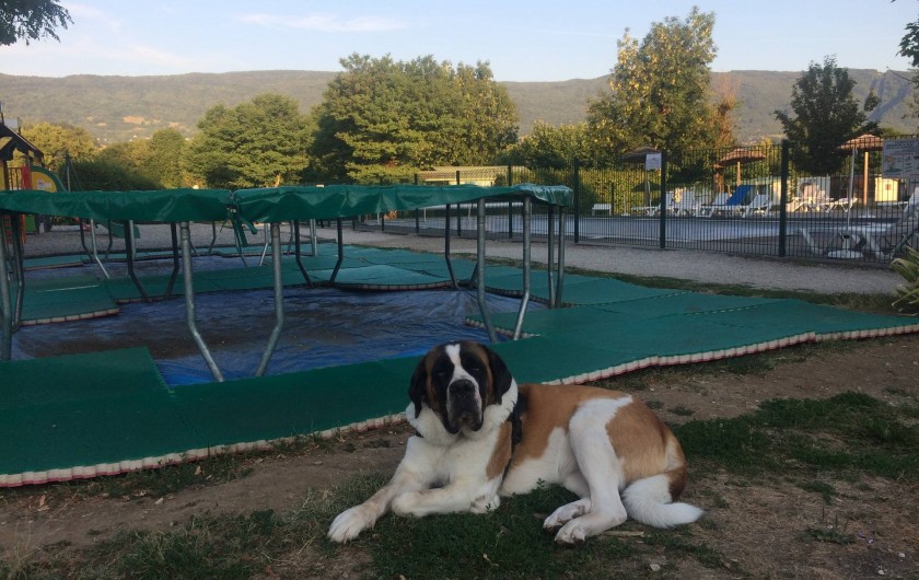 Location de vacances - Camping à Vallières