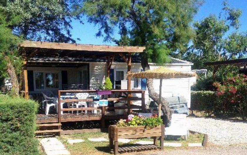 Location de vacances - Camping à Le Barcarès