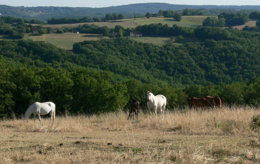 Location de vacances - Gîte à Concorès