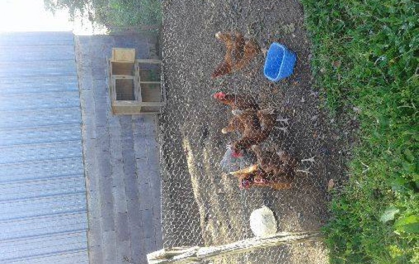 Location de vacances - Gîte à Edern