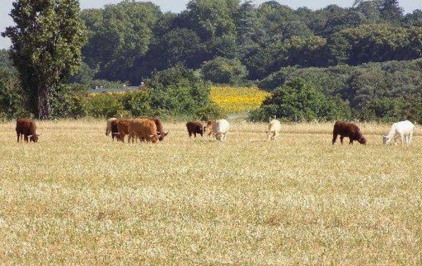 Location de vacances - Gîte à Bourg-lès-Valence