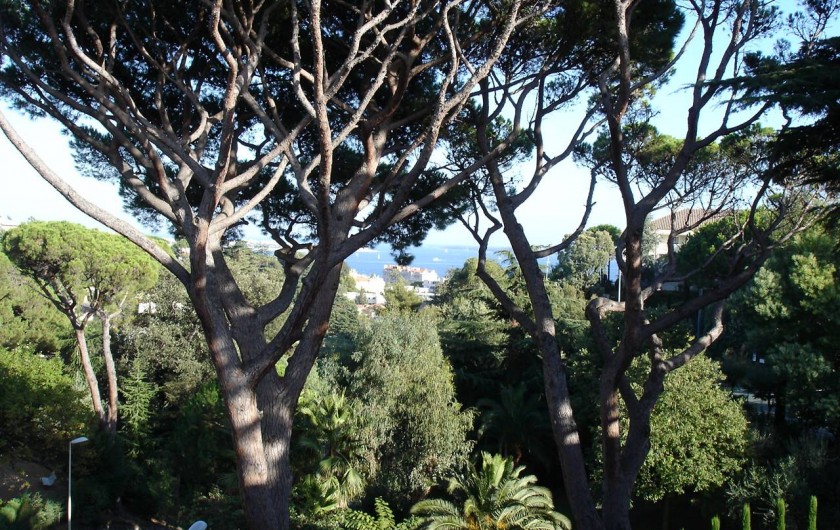 Location de vacances - Appartement à Cannes