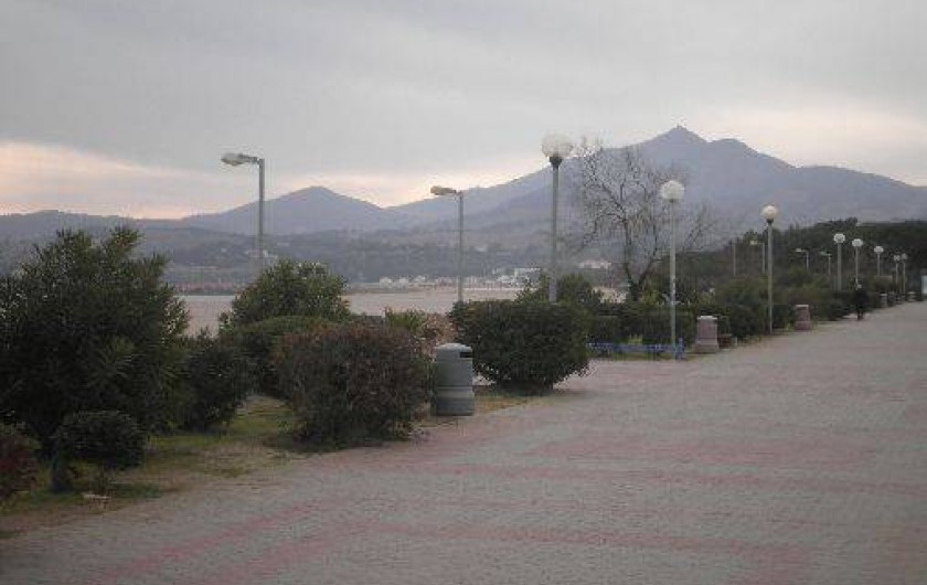 Location de vacances - Appartement à Argelès-sur-Mer