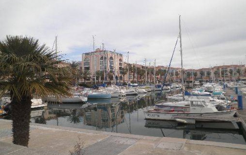 Location de vacances - Appartement à Argelès-sur-Mer