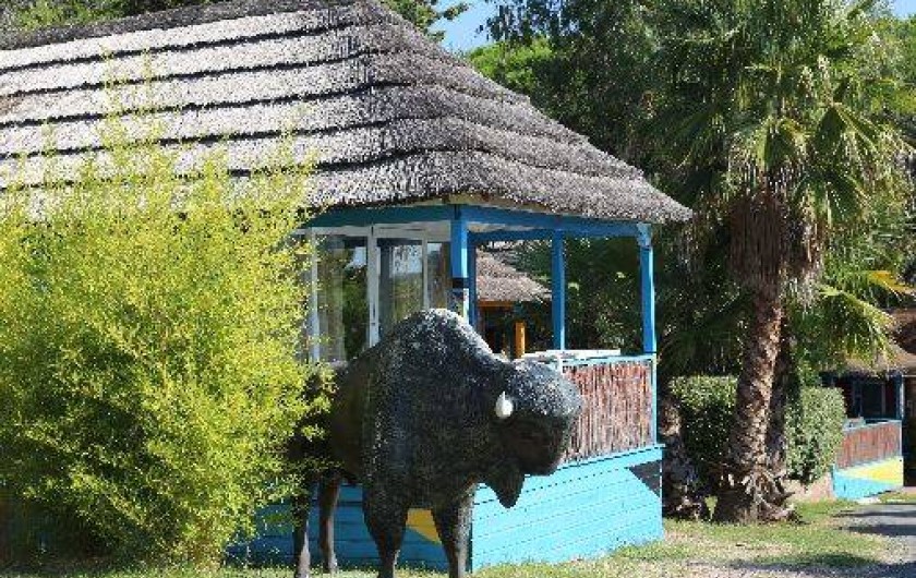 Location de vacances - Camping à Fréjus