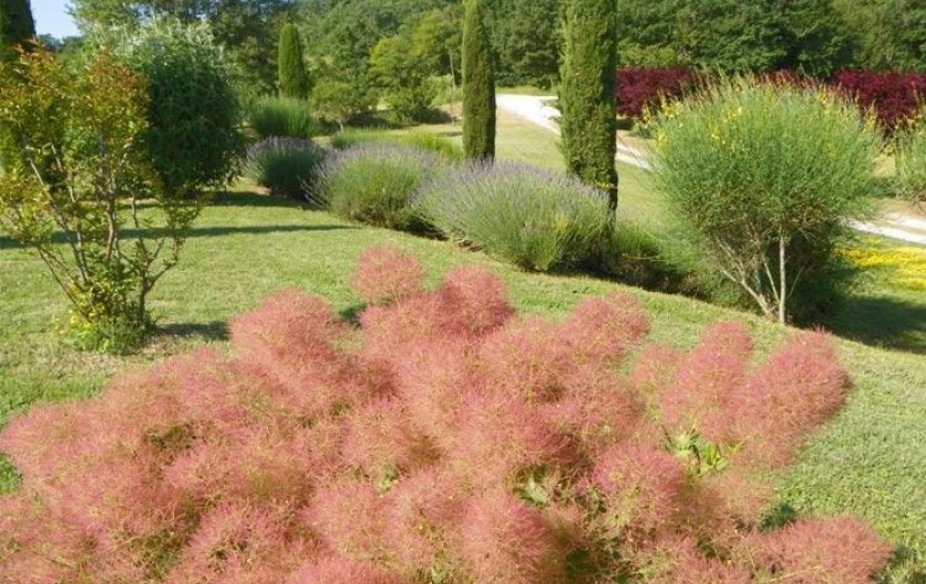 Location de vacances - Villa à Sainte-Juliette - La Borde-Basse Ouest