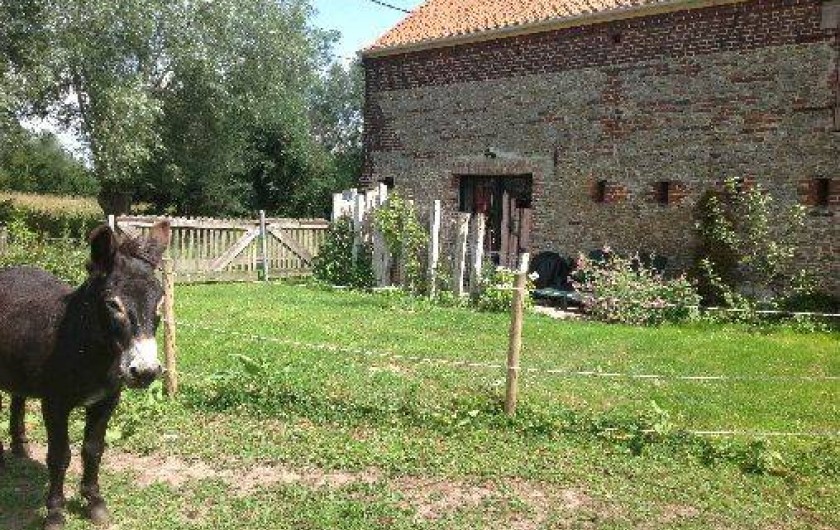 Location de vacances - Chambre d'hôtes à Hergnies