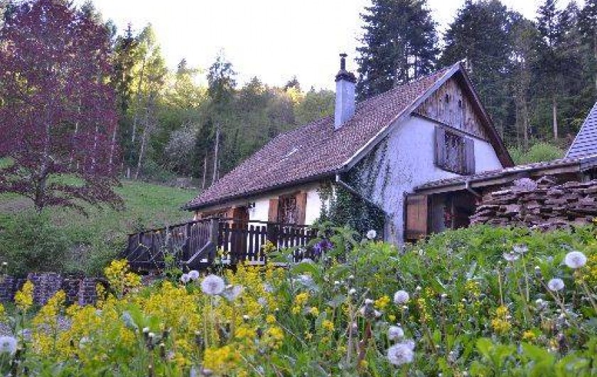 Location de vacances - Chalet à Soultzbach-les-Bains