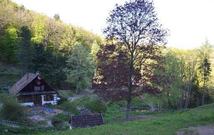 Location de vacances - Chalet à Soultzbach-les-Bains