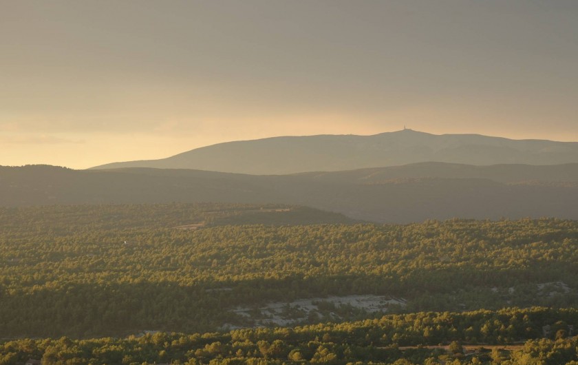 Location de vacances - Maison - Villa à Ménerbes - La vue du Mont Ventoux.