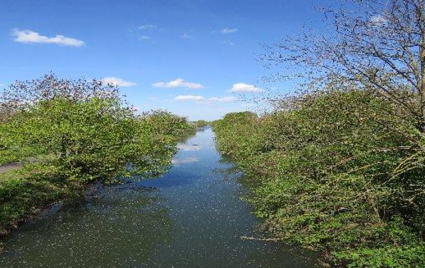 Location de vacances - Gîte à Sundhouse