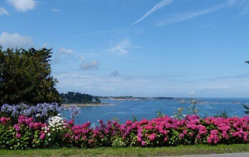 Location de vacances - Gîte à Plourivo