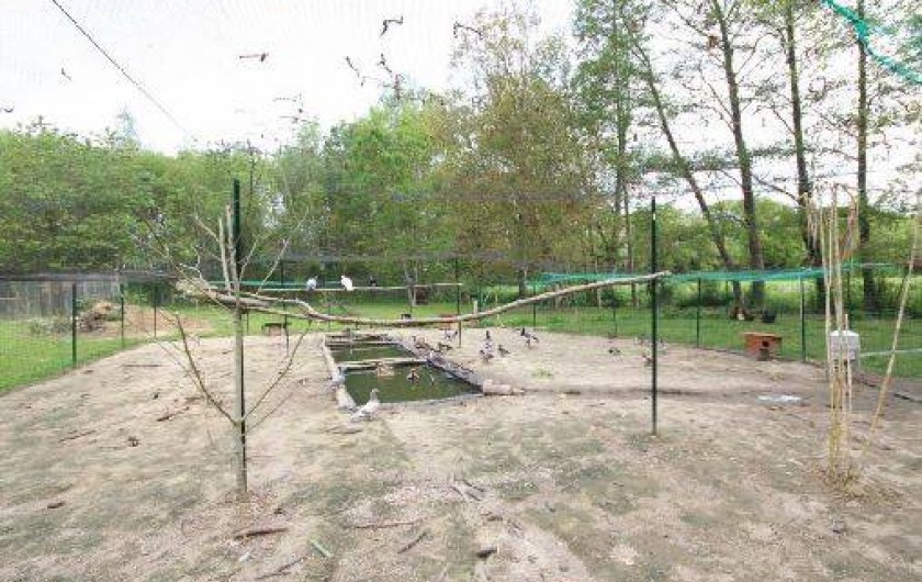 Location de vacances - Gîte à La Chapelle-Montligeon