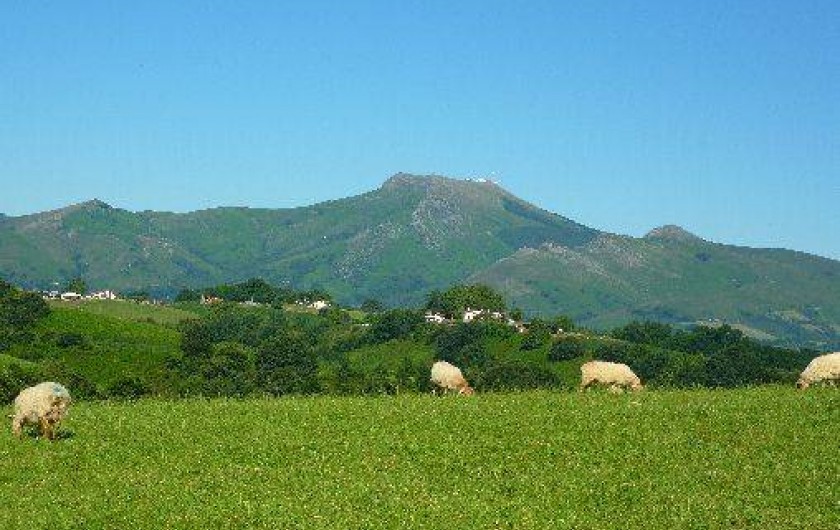 Location de vacances - Villa à Saint-Pée-sur-Nivelle