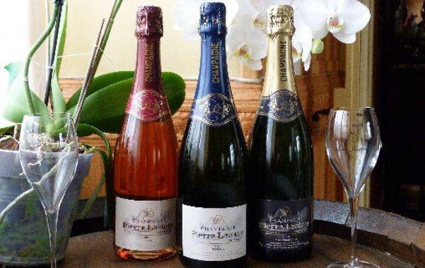 Location de vacances - Chambre d'hôtes à Connigis