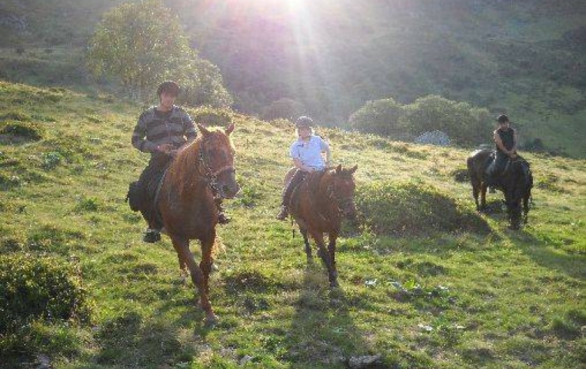Location de vacances - Maison - Villa à Albepierre-Bredons