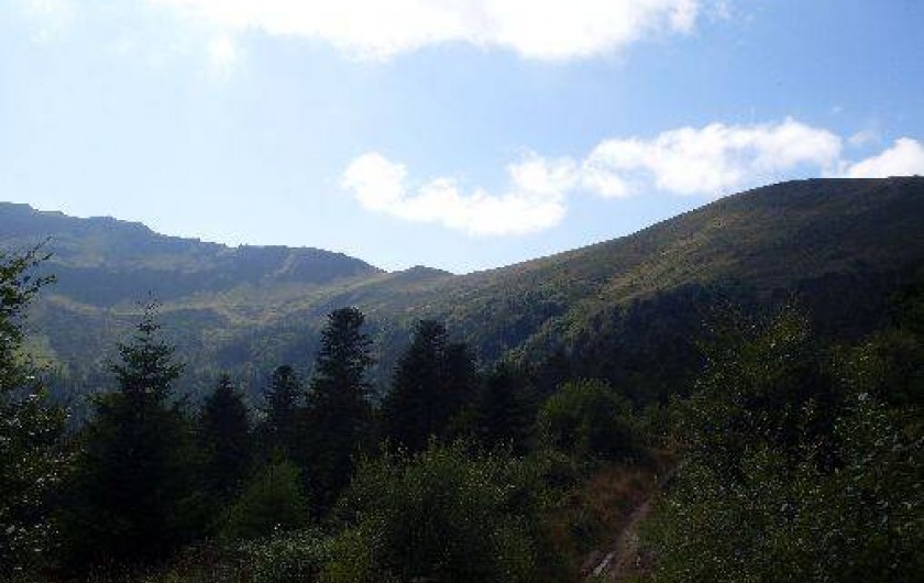 Location de vacances - Maison - Villa à Albepierre-Bredons