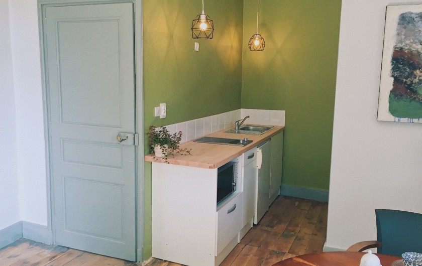 La kitchenette avec deux plaques, un micro-ondes et un petit frigo.