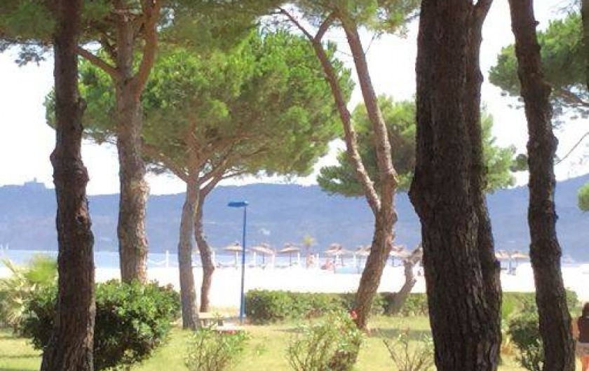 Location de vacances - Appartement à Argelès-sur-Mer