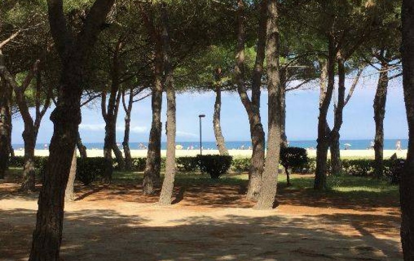 Location de vacances - Appartement à Argelès-sur-Mer