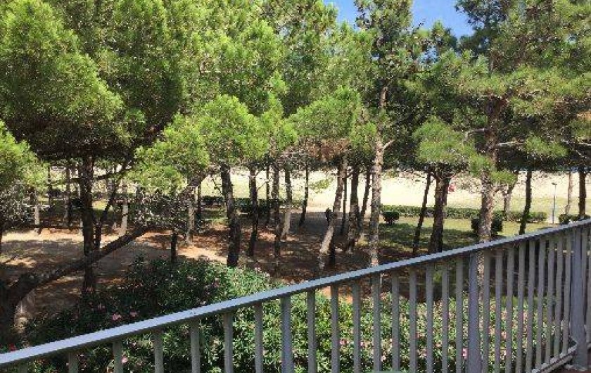 Location de vacances - Appartement à Argelès-sur-Mer
