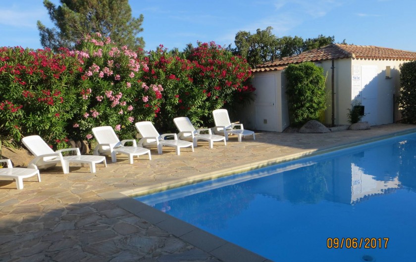 Location de vacances - Villa à San-Gavino-Di-Carbini - La piscine de la résidence