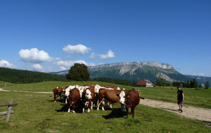 Location de vacances - Chalet à Les Deserts