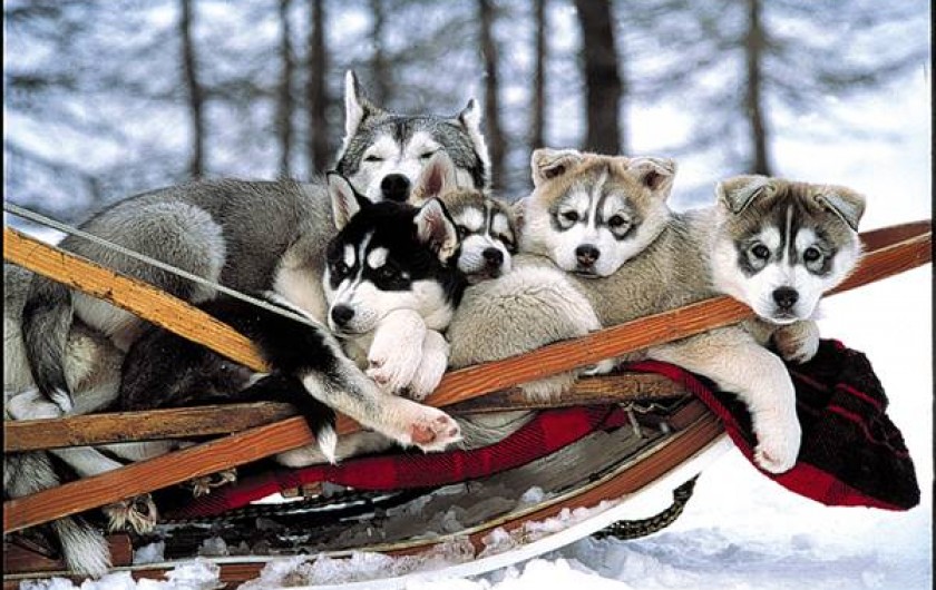 Location de vacances - Chalet à Les Deserts