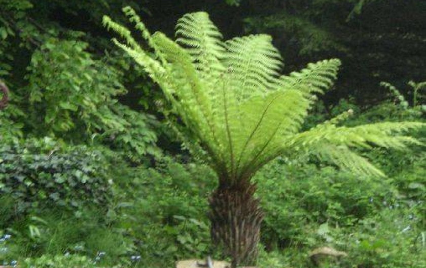Location de vacances - Appartement à Cancale