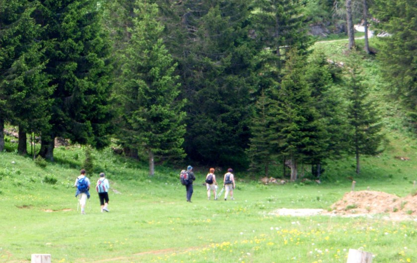 Location de vacances - Gîte à Sancey-le-Grand - randonnées plan à disposition sur place
