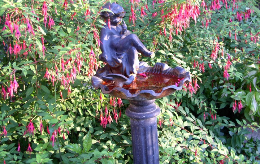 Location de vacances - Gîte à Sancey-le-Grand - le bain d'oiseaux