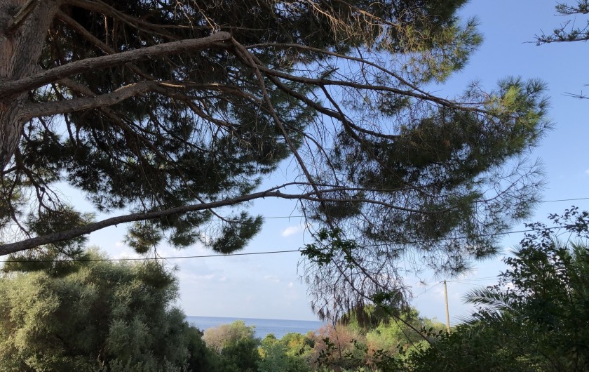 Location de vacances - Maison - Villa à Ajaccio - Vue mer depuis la maison