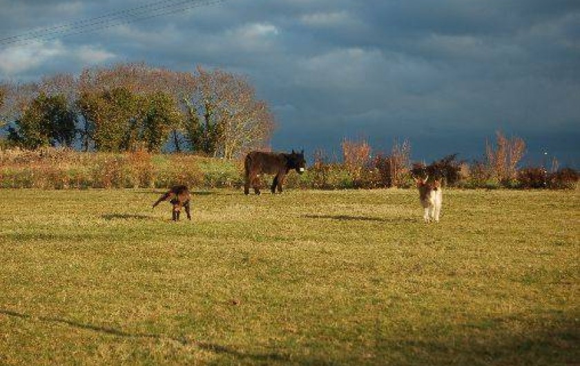 Location de vacances - Gîte à Saint-Malo