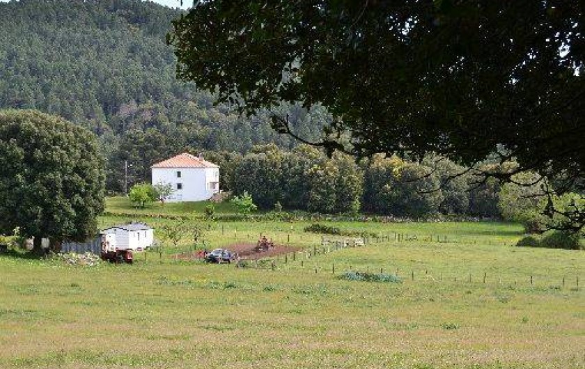 Location de vacances - Villa à Zonza